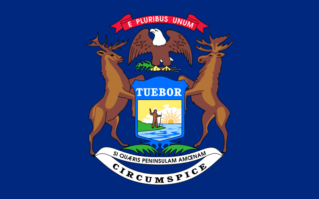 PILF Probes Alleged Election Fraud in Detroit Metro