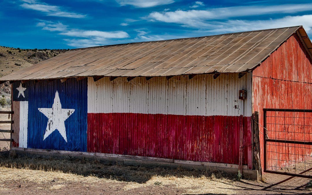 PILF Intervenes to Protect Texas’ Election Integrity Law