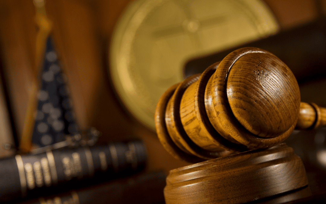 PILF Argues States Must Be Treated Equally Under Federal Election Law and Disclose Public Information to Federal Appeals Courts