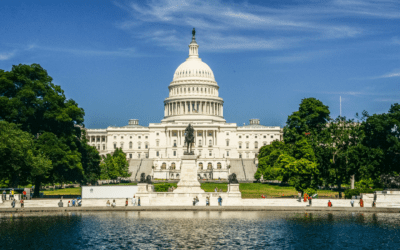 HAPPENING NOW: PILF Testifies to Senate Judiciary Committee on Proposed Voting Legislation