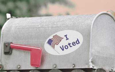 PILF Asks New York Court of Appeals to Declare Universal Mail Voting Law Unconstitutional