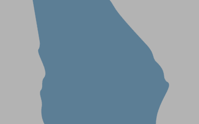 The New Georgia Project v. Raffensperger