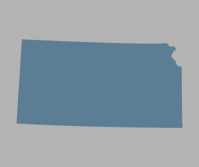 VoteAmerica and Voter Participation Center v. Schwab