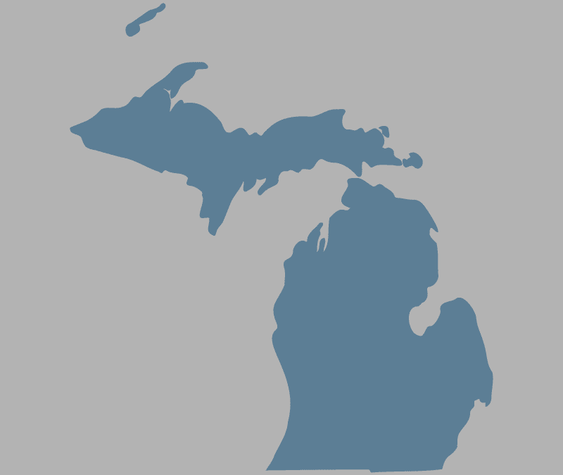 PILF v. Detroit