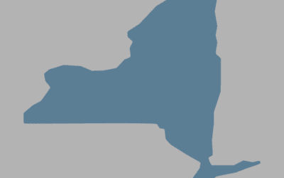 2025 New York Voter Roll Study