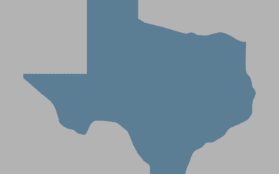 Texas Democratic Party v. Greg Abbott